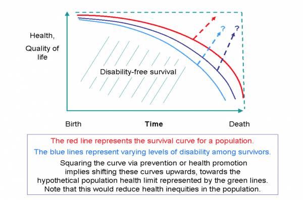 Health and Quality of Life Chart