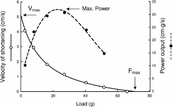 Archibald Hill Force-Velocity Curve