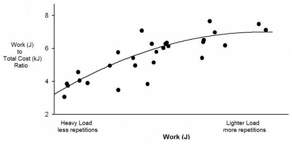 Energy cost efficiency for different workloads