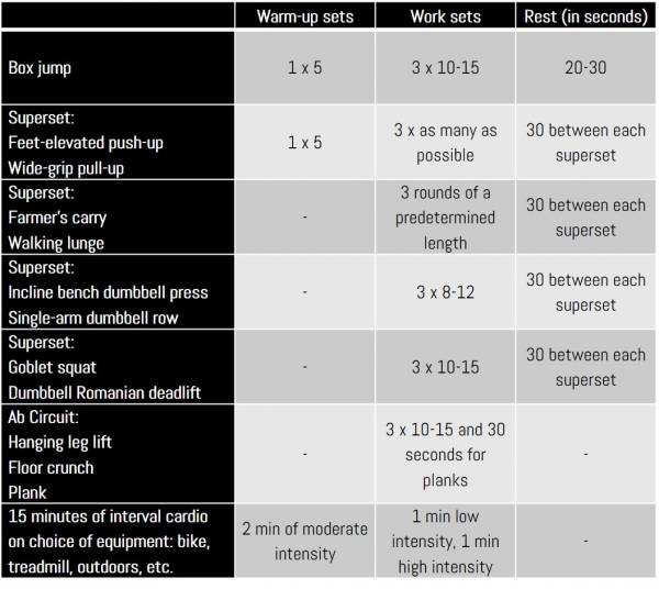 Over 40 workout discount plan at home