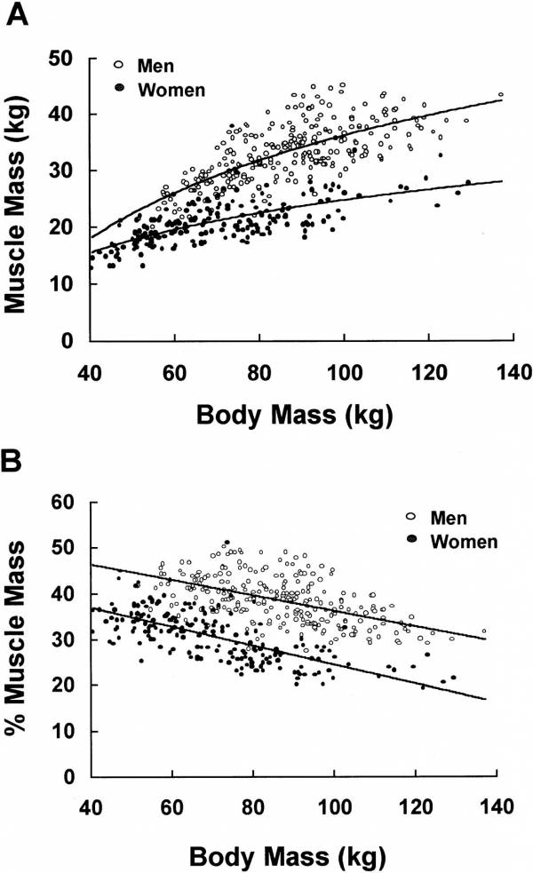 Aging declines skeletal mass