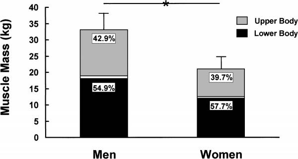 Men have significantly greater upper body muscle mass than women