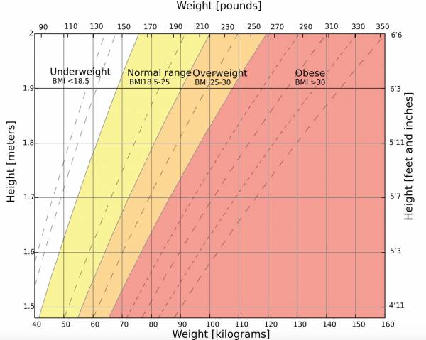 Ideal Body Weight Is There Such A Thing Breaking Muscle