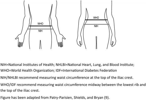 Assessing Central Obesity: Waist Circumference