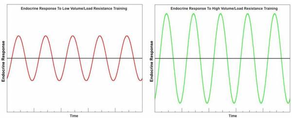 Endocrine response chart.