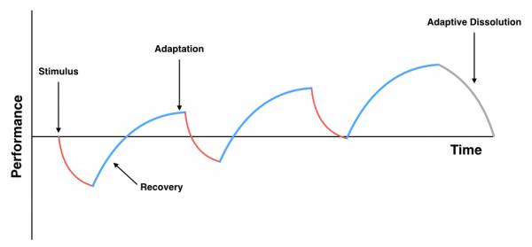 Performance flow chart.