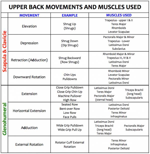back exercises, upper back routines, upper back exercises, upper back