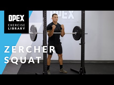 Zercher Squat - OPEX Exercise Library