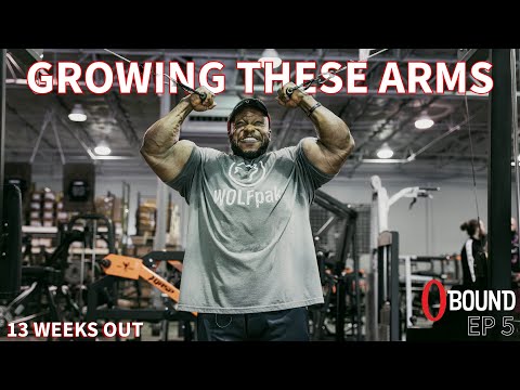 GROW THESE ARMS!!! 13 weeks out from Olympia 2023