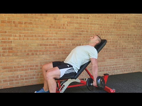 Resistance Band Lateral Raises / Side Raises – WorkoutLabs Exercise Guide