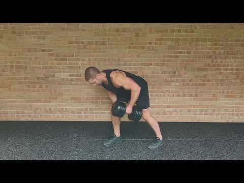 Free Workout: Shoulders, Bi, and Tri · WorkoutLabs Fit