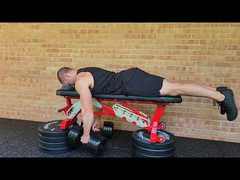 Dumbbell Prone Bench Pull