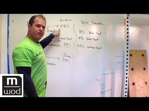 Movement hierarchy | Feat. Kelly Starrett | MobilityWOD