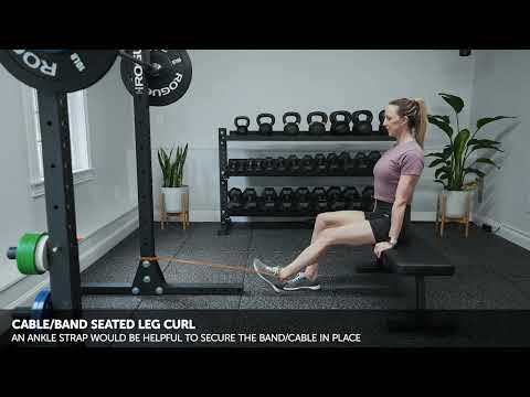 Cable/Band Seated Single Leg Curl