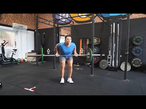 Barbell Reverse Grip Row Pause | Upper Back | Strength and Conditioning Exercises