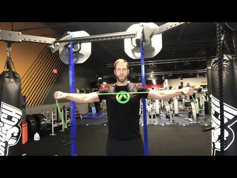 Resistance Band Reverse Flyes
