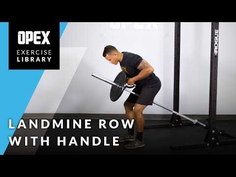 Landmine Row with Handle - OPEX Exercise Library