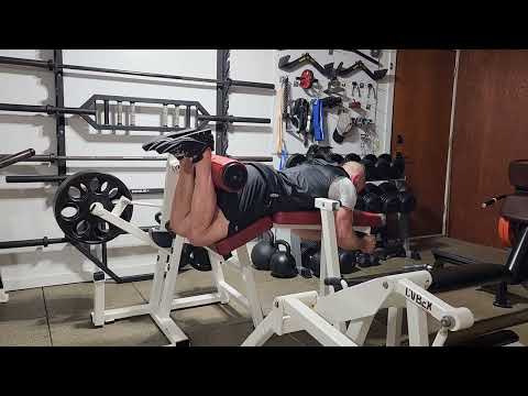 Prone Hamstring Curl