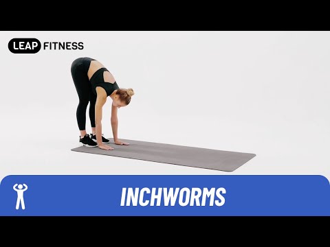 How to Do：INCHWORMS