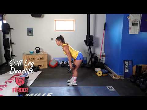 Stiff Leg Deadlift