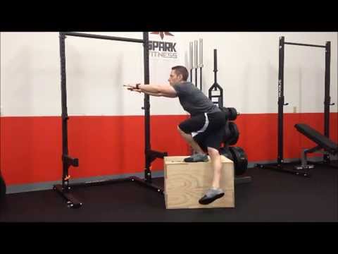 Lateral Single Leg Squat Side View