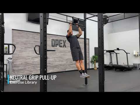 Neutral Grip Pull-Up