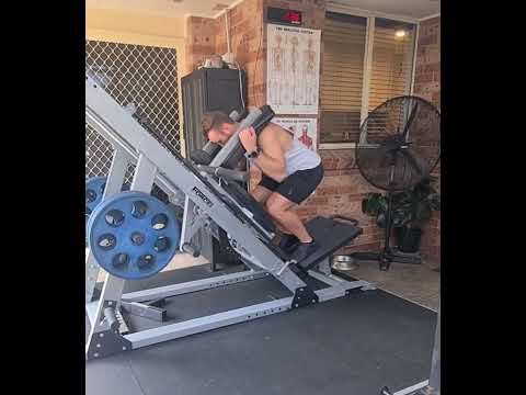 reverse hack squat