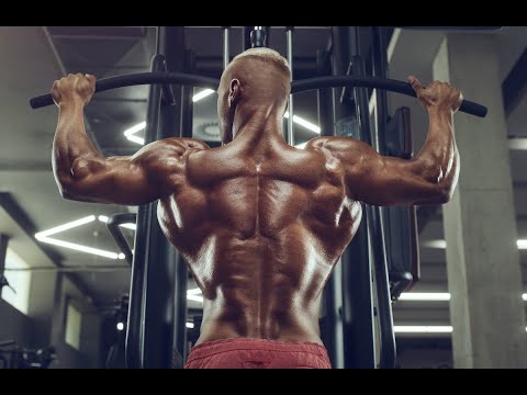 Transform Your Back