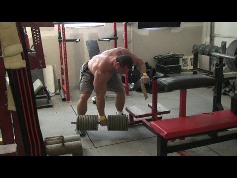 dumbbell rows 250x15