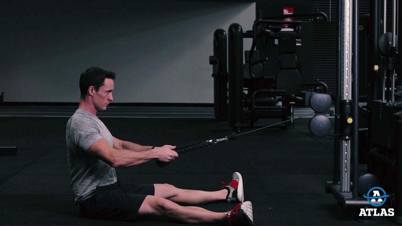 Seated Cable Rows: Proper Form, Muscles Worked & More - Steel