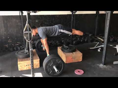 DELTA Weightlifting: Seal Rows