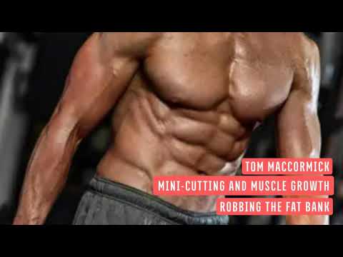 The Art of Mini-Cutting For More Muscle