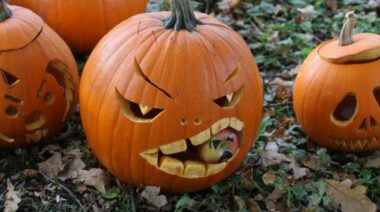 halloween pumpkin, pumpkin carving, pumpkin seeds, healthy seeds