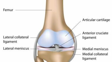 knee injury, knee surgery, acl, mcl, meniscus, knee surgery recovery