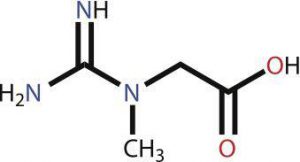 creatine, creatine monohydrate, creapure, kre-alkalyn, alzchem