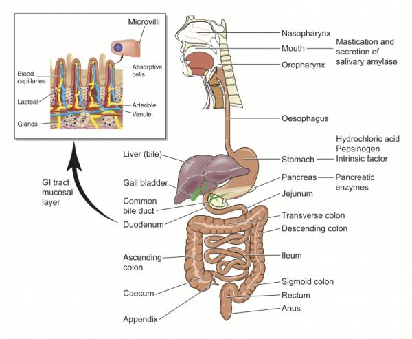 Health cover image