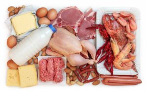 protein, protein intake, how much protein, macronutrients, protein ratio