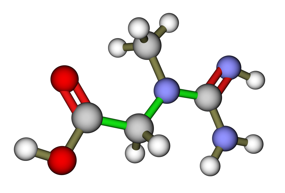 Creatine May Reduce Helpful Antioxidants - Breaking Muscle