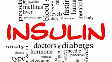 insulin, insulin response, metabolic disease, metabolic flexibility, glucose