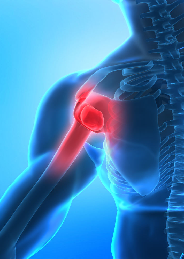 Understanding the Shoulder and Bulletproofing It From Injury - Breaking ...