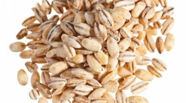 barley, fiber, indigestible carbs, indigestible carbohydrates
