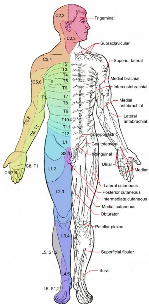 The Best and Safest Way to Treat Neck Pain, Strains, and Stiffness ...