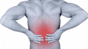 back pain, low back, movement, physical therapy