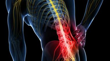 back pain, herniated disc, slipped disc, anatomy, spine anatomy, back pain