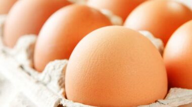 eggs, cholesterol, choline, eggs are good, why you should eat eggs