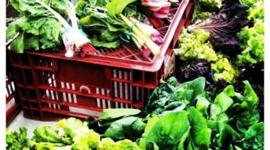 meal planning, paleo shopping, health groceries, how to buy healthy food
