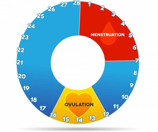 The Menstrual Cycle: What's normal and what's not • Ignite Athlete