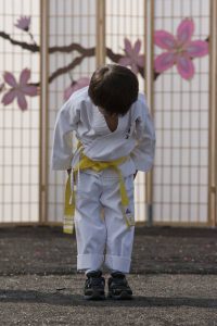 martial arts for kids, kids martial arts, martial arts and children