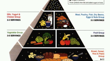 usda, food pyramid, grains, fruit, vegetables, dr light