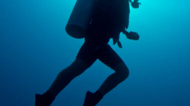 underwaterswimmer
